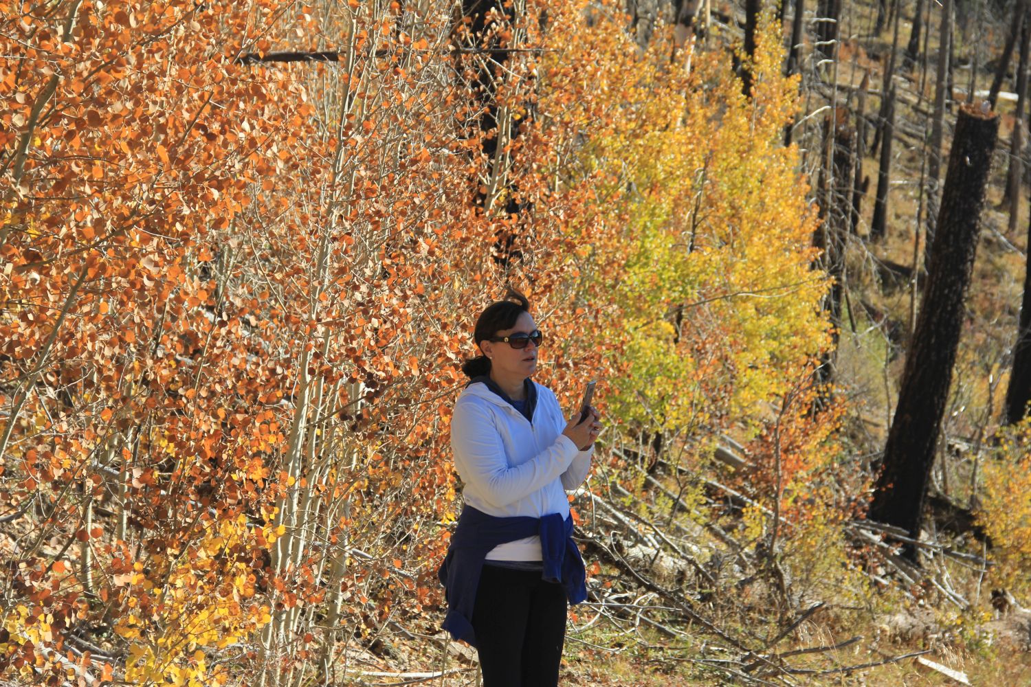 Valles Caldera National Preserve 